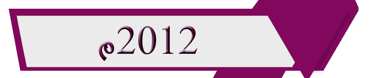 sides purple 2012