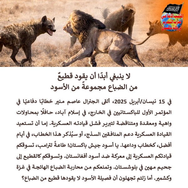 2025 04 18 FB A Pride of Lions Must Never Be Led by a Pack of Hyenas AR