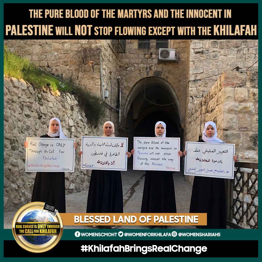 Click to enlarge image pal1_copy_low.jpg